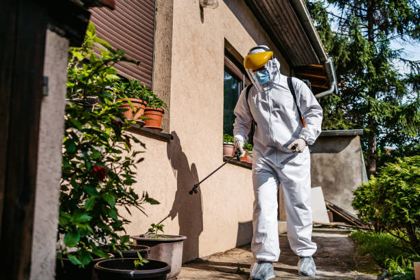 Wasp Removal Services in Wedgefield, SC