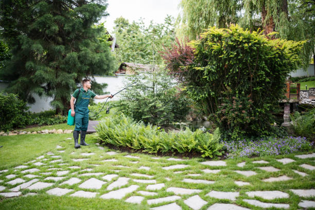 Best Pest Control Near Me  in Wedgefield, SC