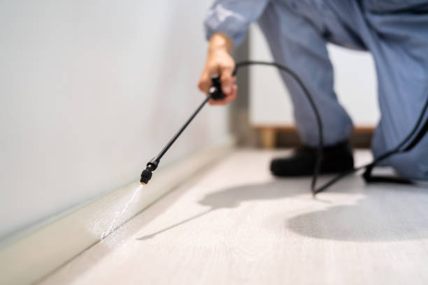 Best Pest Removal Services  in Wedgefield, SC