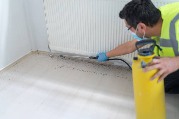 Best Emergency Pest Control  in Wedgefield, SC